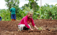 Native tree replanting during the PEBACC+ Learning Event in Vanuatu, November 2025.