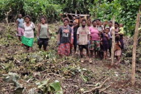 Mangrove Protection in Palau