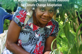Kiwa Initiative Capacity Needs Assessment for Implementing Nature-based Solutions for Climate Change Adaptation