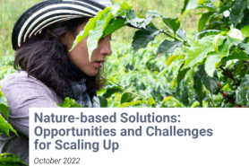 Nature-based Solutions: Opportunities and Challenges for Scaling Up