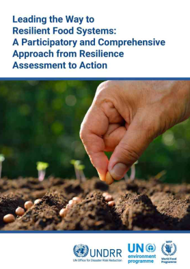 Leading the way to resilient food systems: a participatory and comprehensive approach from resilience assessment to action