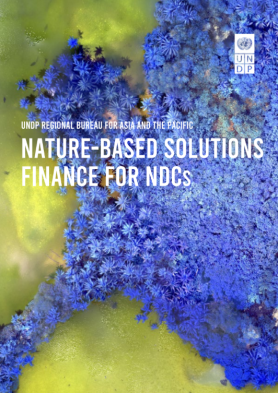 Nature-Based Solutions Finance for NDCs