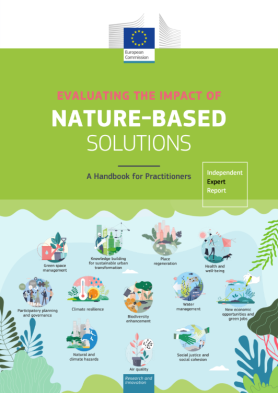 Evaluating the Impact of Nature-based Solutions