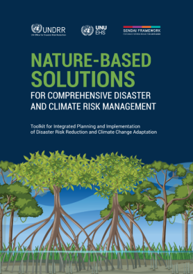 Nature-Based Solutions for Comprehensive Disaster and Climate Risk Management