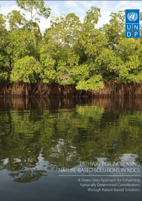 Pathway for Increasing Nature-Based Solutions in NDCs