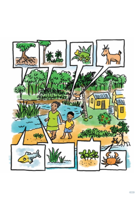 Visual resources highlighting key messages on NbS for community awareness and learning