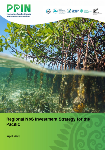Regional NbS Investment Strategy for the Pacific