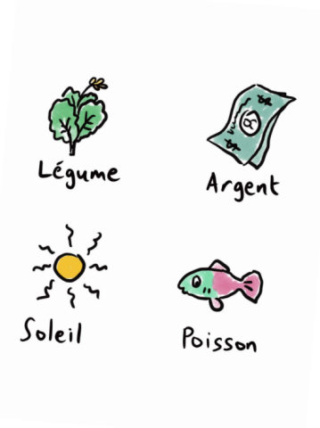 Web of Life cards - English and French