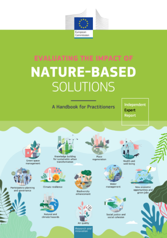 Evaluating the Impact of Nature-based Solutions