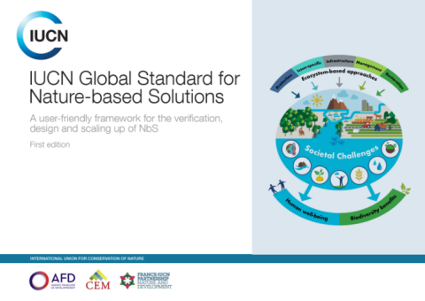 IUCN Global Standard for Nature-based Solutions