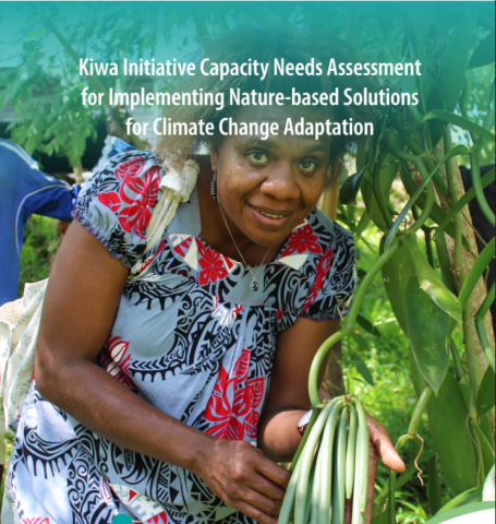 Kiwa Initiative Capacity Needs Assessment for Implementing Nature-based Solutions for Climate Change Adaptation