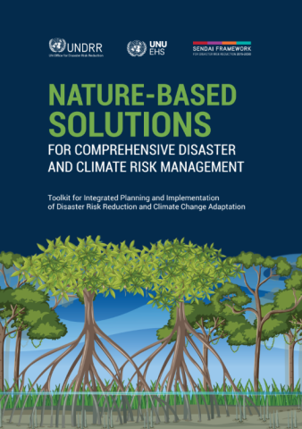 Nature-Based Solutions for Comprehensive Disaster and Climate Risk Management
