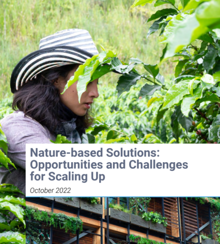 Nature-based Solutions: Opportunities and Challenges for Scaling Up