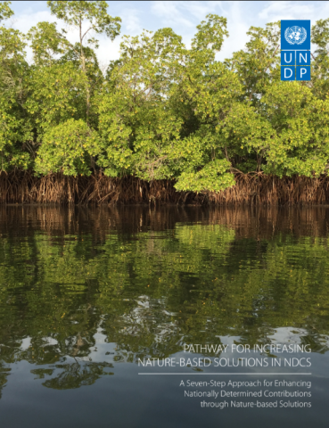 Pathway for Increasing Nature-Based Solutions in NDCs