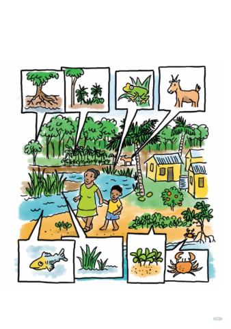 Visual resources highlighting key messages on NbS for community awareness and learning