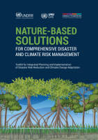 Nature-Based Solutions for Comprehensive Disaster and Climate Risk Management